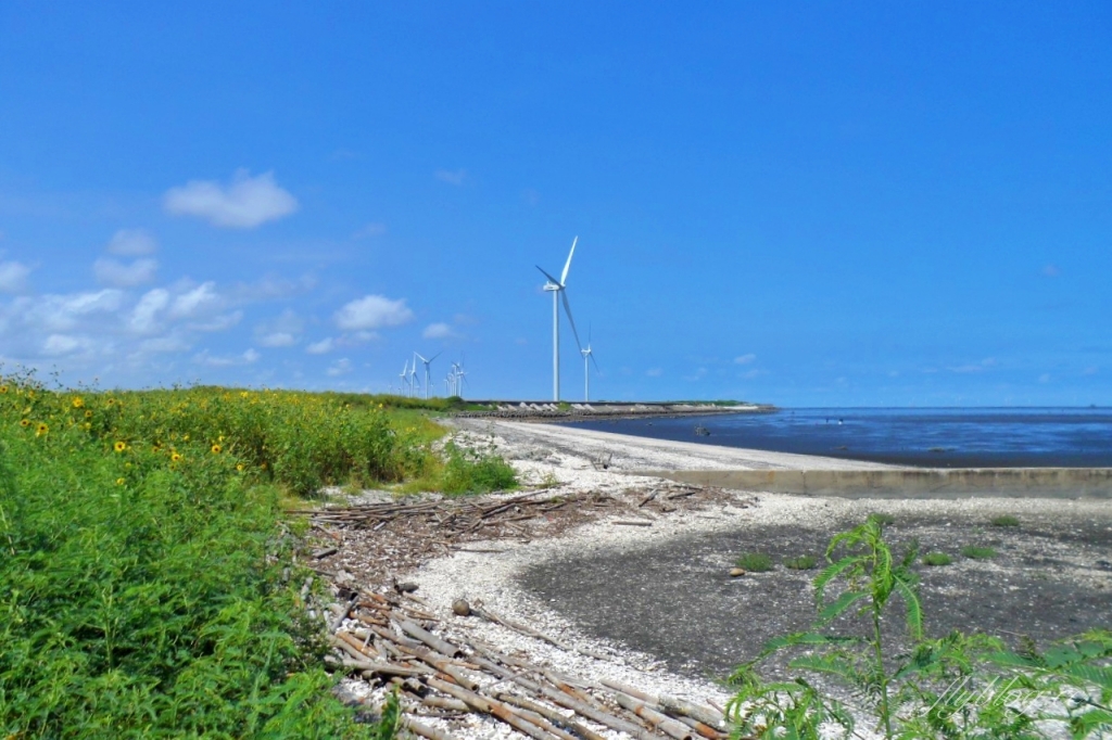 福寶溼地|彰化IG打卡景點,福寶溼地漂流木裝置藝術,美美向日葵花田觀賞夕陽 @飛天璇的口袋 福寶溼地|彰化IG打卡景點,福寶溼地漂流木裝置藝術,美美向日葵花田觀賞夕陽 @飛天璇的口袋