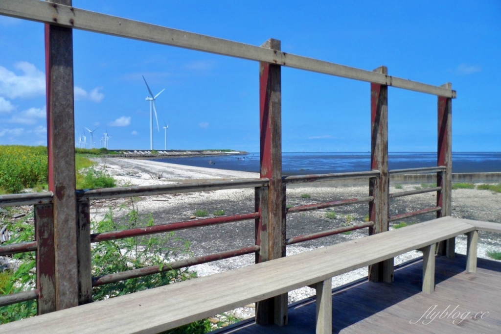 福寶溼地|彰化IG打卡景點,福寶溼地漂流木裝置藝術,美美向日葵花田觀賞夕陽 @飛天璇的口袋 福寶溼地|彰化IG打卡景點,福寶溼地漂流木裝置藝術,美美向日葵花田觀賞夕陽 @飛天璇的口袋