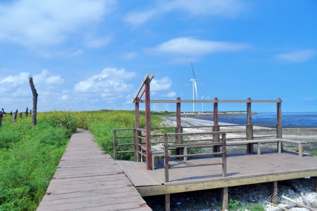 福寶溼地|彰化IG打卡景點,福寶溼地漂流木裝置藝術,美美向日葵花田觀賞夕陽 @飛天璇的口袋 福寶溼地|彰化IG打卡景點,福寶溼地漂流木裝置藝術,美美向日葵花田觀賞夕陽 @飛天璇的口袋