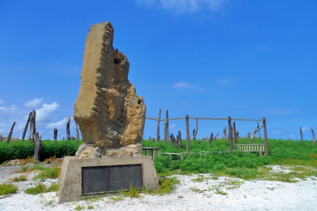 福寶溼地|彰化IG打卡景點,福寶溼地漂流木裝置藝術,美美向日葵花田觀賞夕陽 @飛天璇的口袋 福寶溼地|彰化IG打卡景點,福寶溼地漂流木裝置藝術,美美向日葵花田觀賞夕陽 @飛天璇的口袋