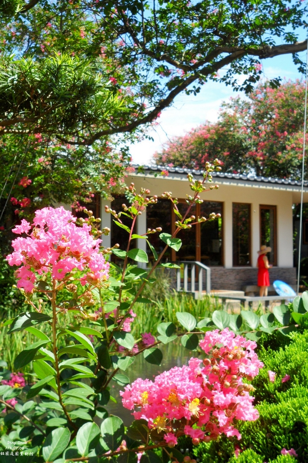田尾銘園庭園美術館｜充滿日式風情的木造茶房，欣賞優雅浪漫的紫薇花 @飛天璇的口袋