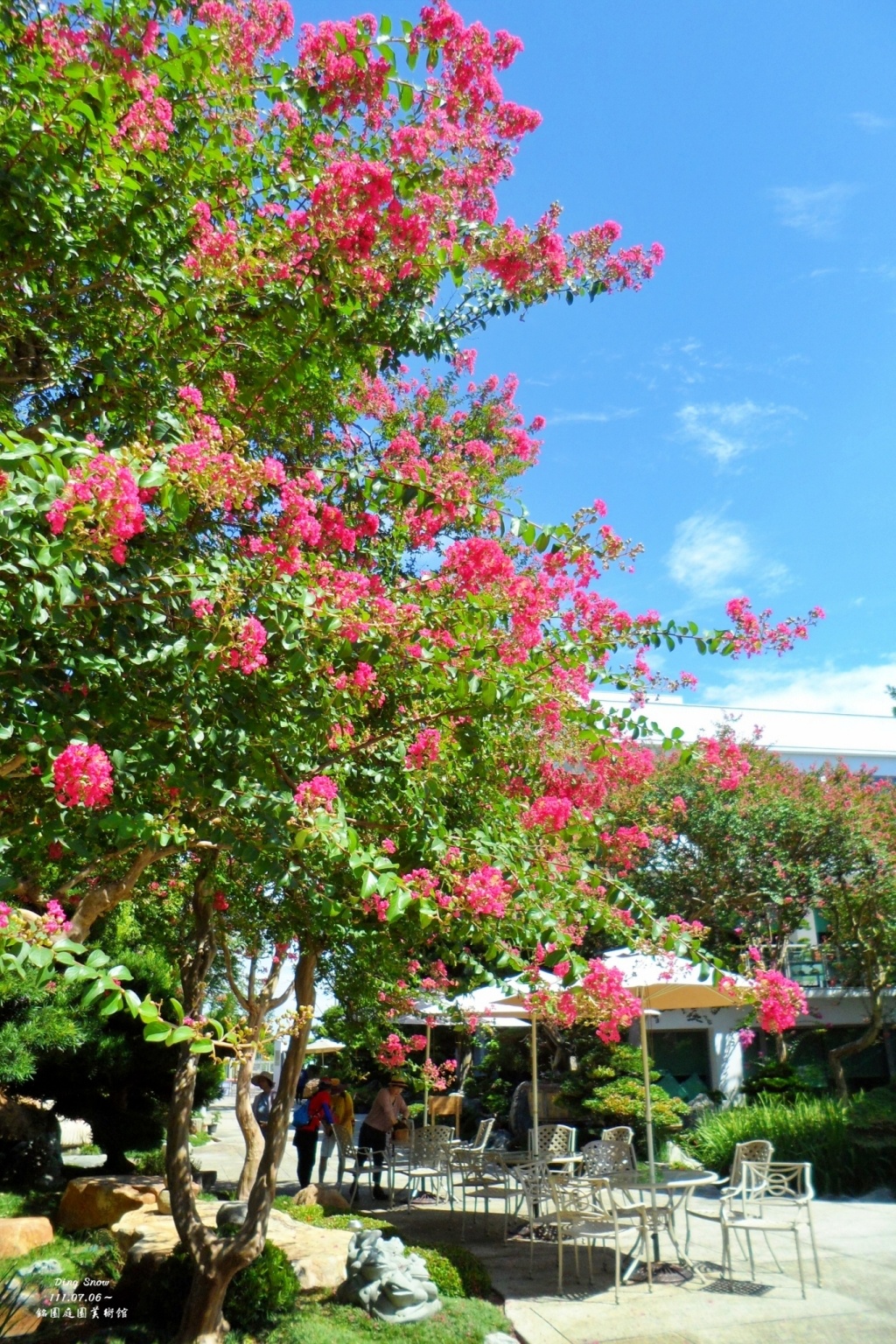 田尾銘園庭園美術館|充滿日式風情的木造茶房,欣賞優雅浪漫的紫薇花 @飛天璇的口袋 田尾銘園庭園美術館|充滿日式風情的木造茶房,欣賞優雅浪漫的紫薇花 @飛天璇的口袋