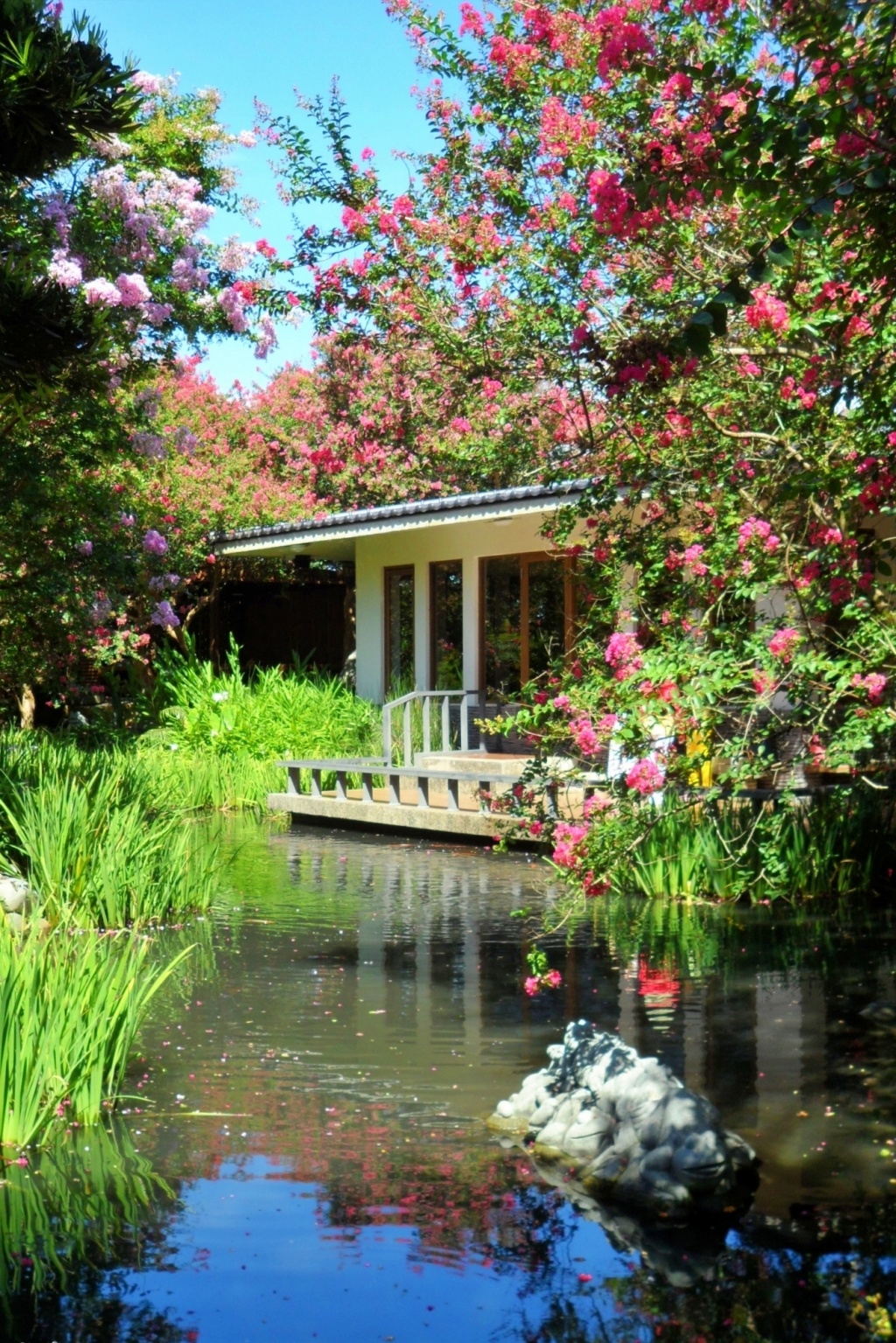 田尾銘園庭園美術館|充滿日式風情的木造茶房,欣賞優雅浪漫的紫薇花 @飛天璇的口袋 田尾銘園庭園美術館|充滿日式風情的木造茶房,欣賞優雅浪漫的紫薇花 @飛天璇的口袋