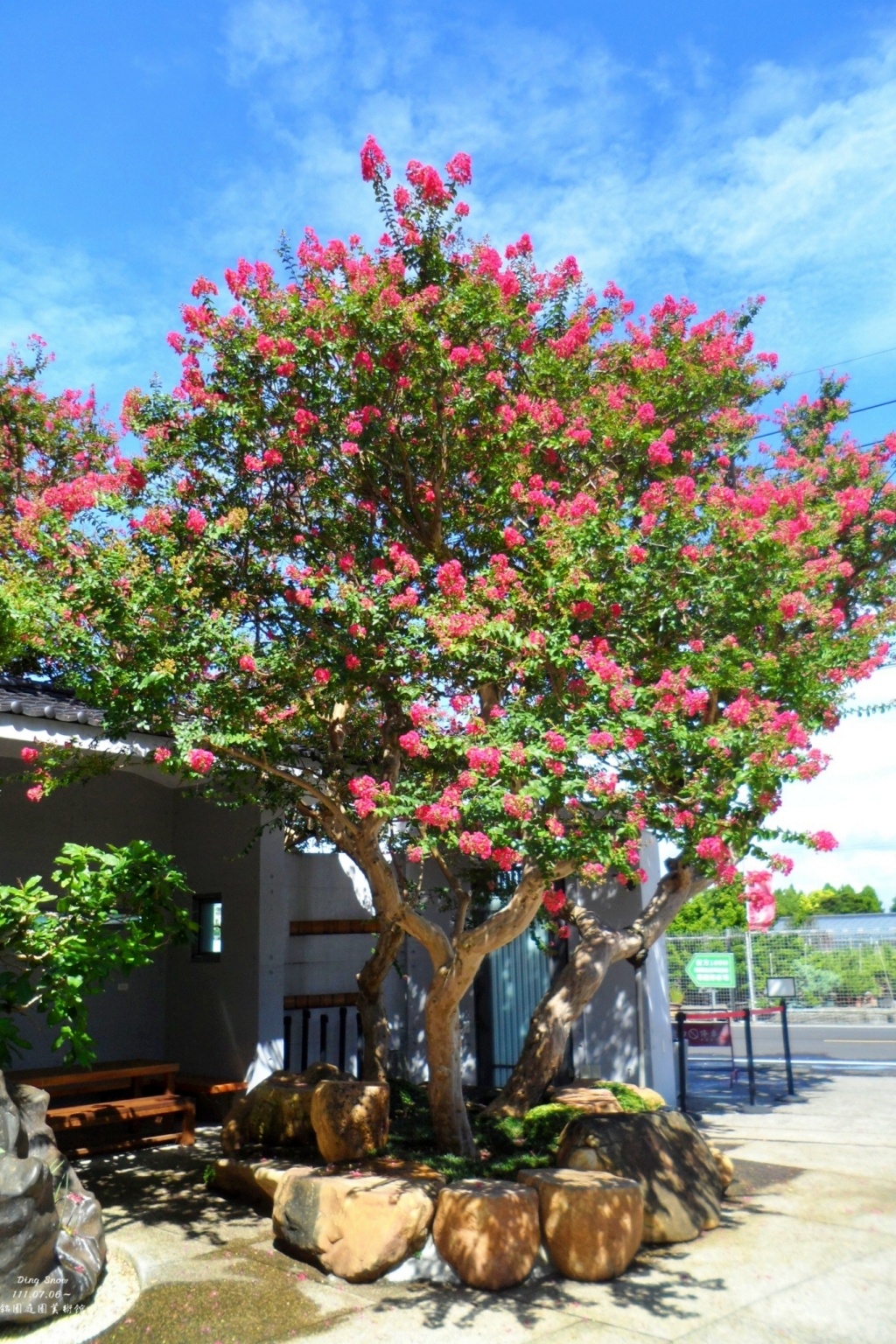 田尾銘園庭園美術館|充滿日式風情的木造茶房,欣賞優雅浪漫的紫薇花 @飛天璇的口袋 田尾銘園庭園美術館|充滿日式風情的木造茶房,欣賞優雅浪漫的紫薇花 @飛天璇的口袋