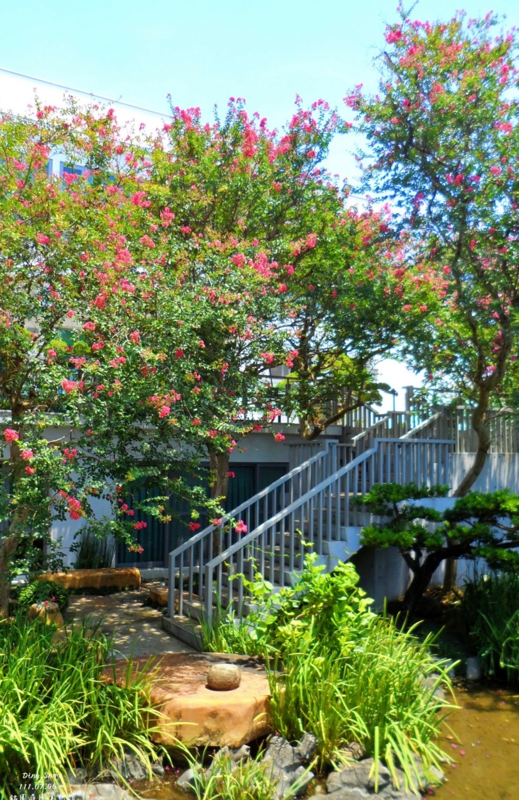 田尾銘園庭園美術館|充滿日式風情的木造茶房,欣賞優雅浪漫的紫薇花 @飛天璇的口袋 田尾銘園庭園美術館|充滿日式風情的木造茶房,欣賞優雅浪漫的紫薇花 @飛天璇的口袋