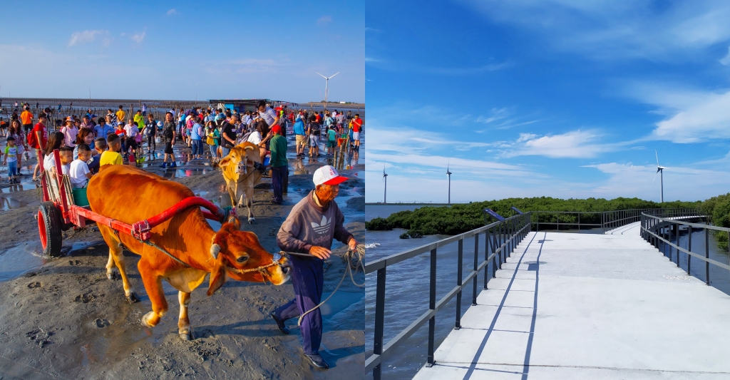 彰化芳苑｜芳苑濕地海空步道．紅樹林潮間帶濕地豐富生態，搭乘鐵牛車賞夕陽美景 @飛天璇的口袋