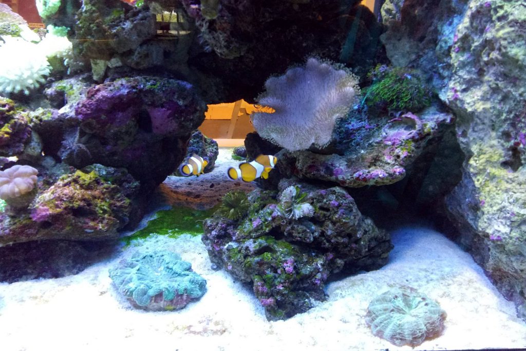 台電南部展示館|超刺激兩層樓旋轉溜滑梯,六大主題互動遊戲設施,寓教於樂的墾丁免費親子景點 @飛天璇的口袋 台電南部展示館|超刺激兩層樓旋轉溜滑梯,六大主題互動遊戲設施,寓教於樂的墾丁免費親子景點 @飛天璇的口袋