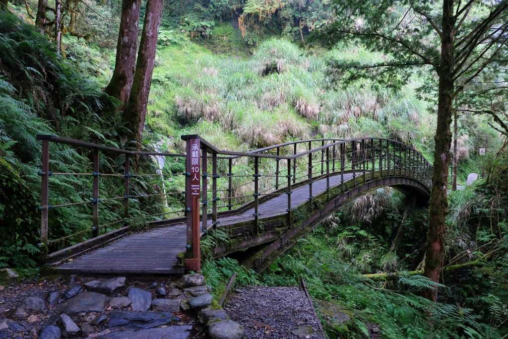 宜蘭大同｜見晴懷古步道．CNN評選全球最美28條小路之一，太平山雲霧繚繞的幽靜之美 @飛天璇的口袋