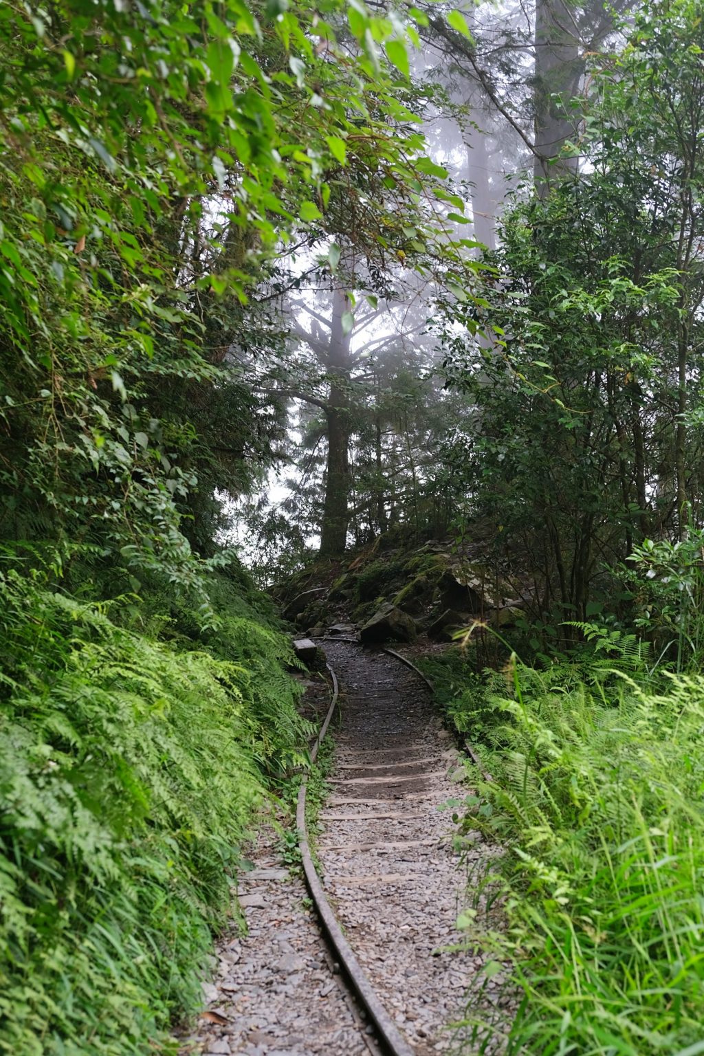 宜蘭大同｜見晴懷古步道．CNN評選全球最美28條小路之一，太平山雲霧繚繞的幽靜之美 @飛天璇的口袋