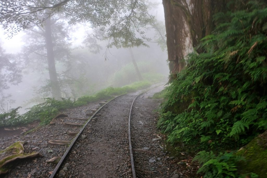 宜蘭大同｜見晴懷古步道．CNN評選全球最美28條小路之一，太平山雲霧繚繞的幽靜之美 @飛天璇的口袋