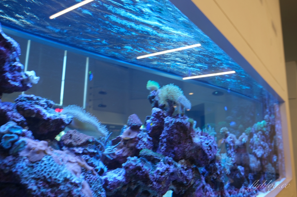 台電南部展示館|超刺激兩層樓旋轉溜滑梯,六大主題互動遊戲設施,寓教於樂的墾丁免費親子景點 @飛天璇的口袋 台電南部展示館|超刺激兩層樓旋轉溜滑梯,六大主題互動遊戲設施,寓教於樂的墾丁免費親子景點 @飛天璇的口袋