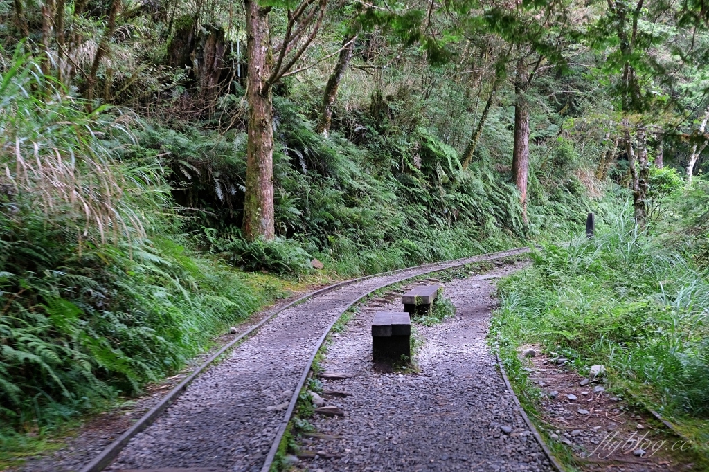 宜蘭大同｜見晴懷古步道．CNN評選全球最美28條小路之一，太平山雲霧繚繞的幽靜之美 @飛天璇的口袋