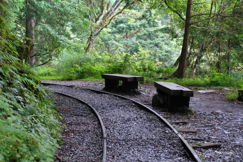宜蘭大同｜見晴懷古步道．CNN評選全球最美28條小路之一，太平山雲霧繚繞的幽靜之美 @飛天璇的口袋
