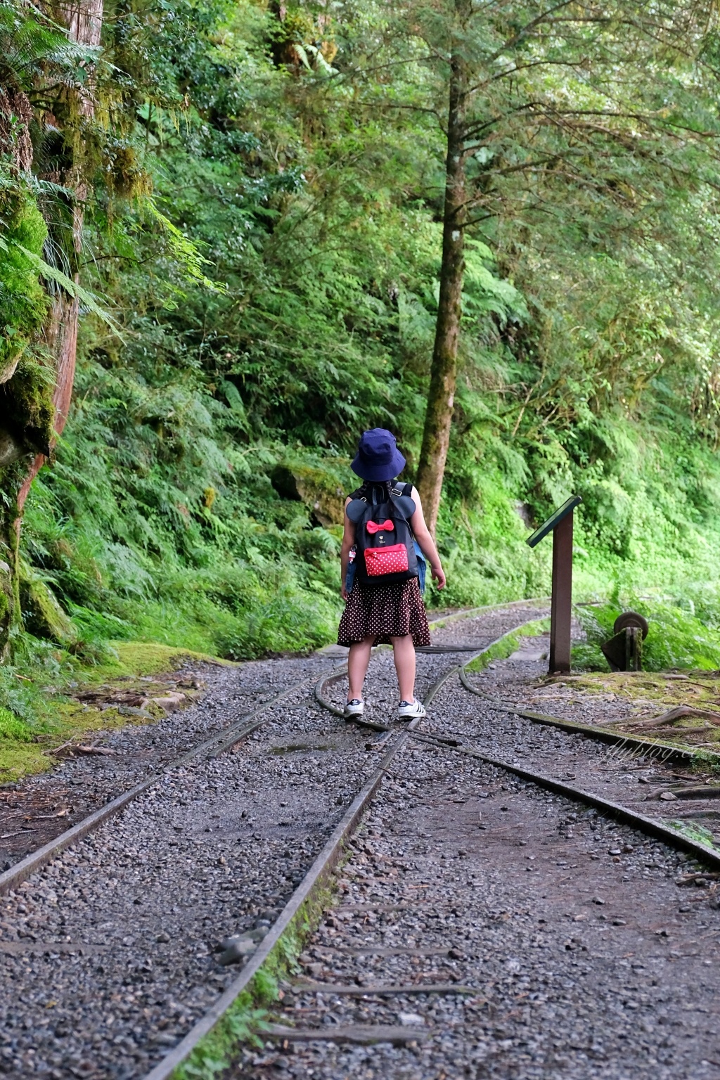 宜蘭大同｜見晴懷古步道．CNN評選全球最美28條小路之一，太平山雲霧繚繞的幽靜之美 @飛天璇的口袋