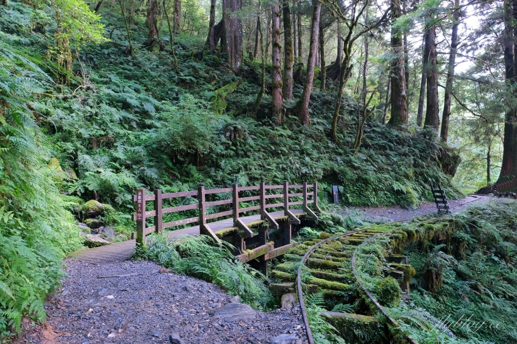 宜蘭大同｜見晴懷古步道．CNN評選全球最美28條小路之一，太平山雲霧繚繞的幽靜之美 @飛天璇的口袋