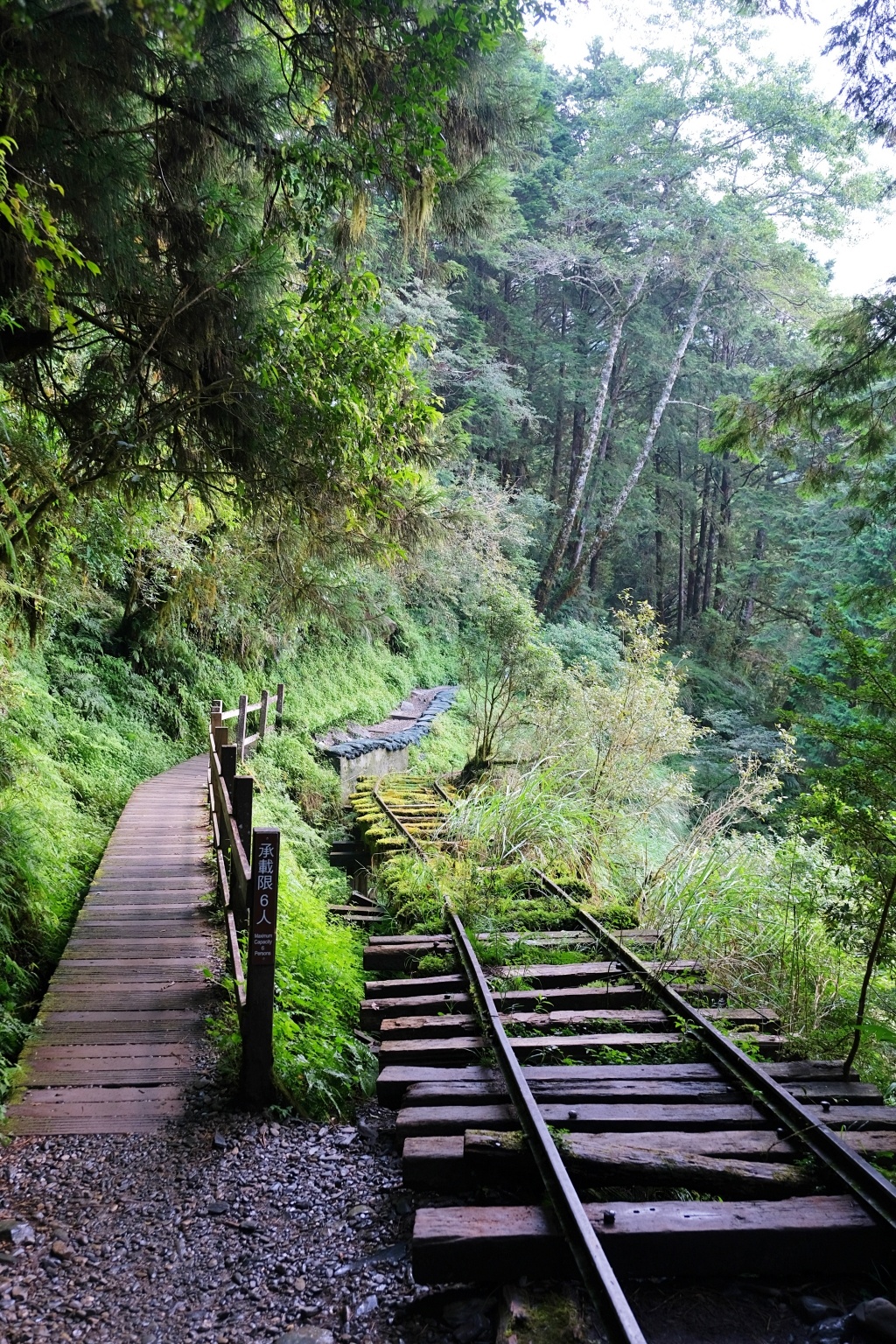宜蘭大同｜見晴懷古步道．CNN評選全球最美28條小路之一，太平山雲霧繚繞的幽靜之美 @飛天璇的口袋