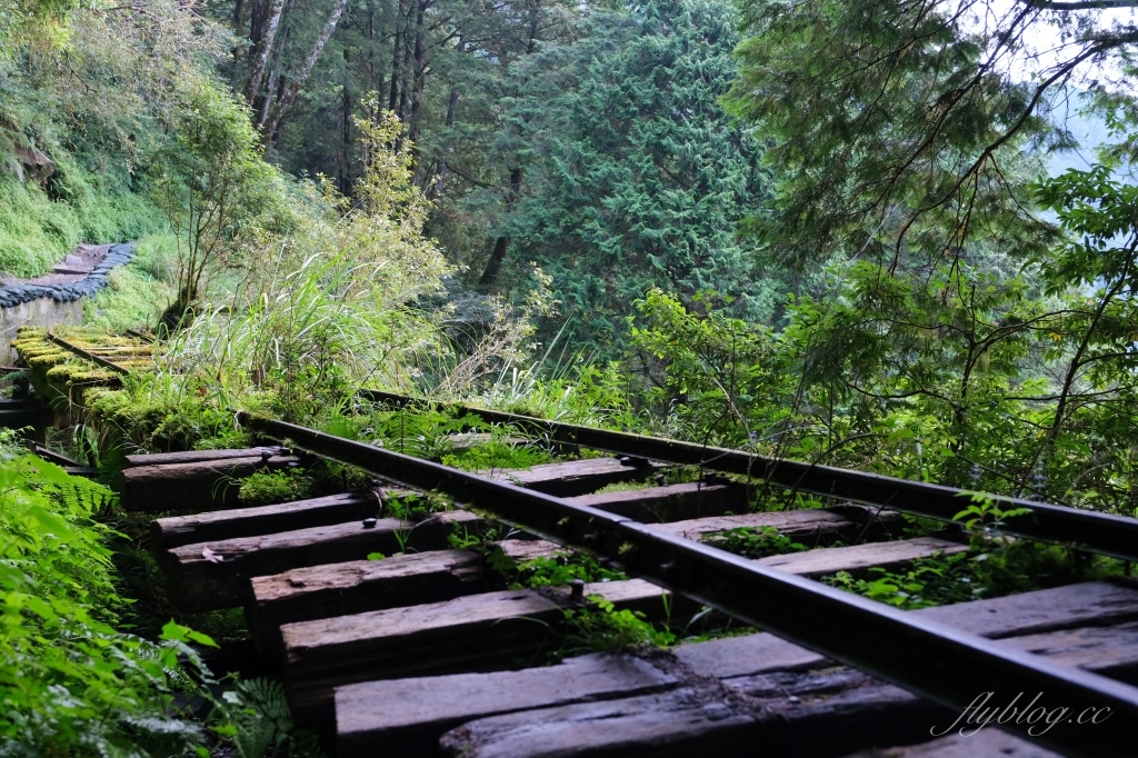 宜蘭大同｜見晴懷古步道．CNN評選全球最美28條小路之一，太平山雲霧繚繞的幽靜之美 @飛天璇的口袋