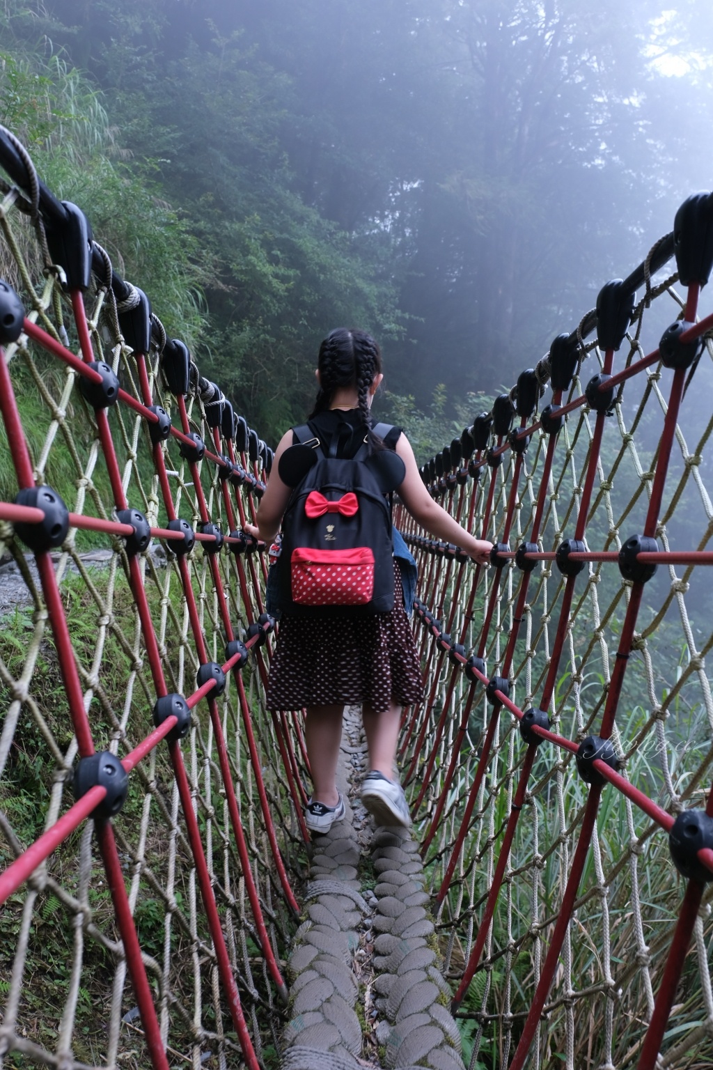 宜蘭大同｜見晴懷古步道．CNN評選全球最美28條小路之一，太平山雲霧繚繞的幽靜之美 @飛天璇的口袋