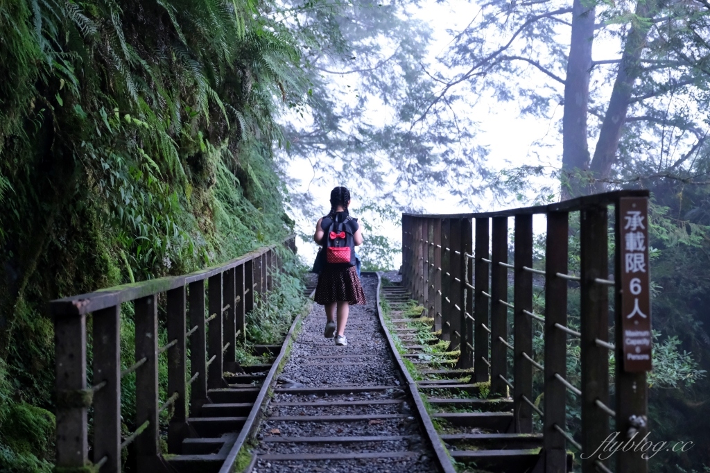 宜蘭大同｜見晴懷古步道．CNN評選全球最美28條小路之一，太平山雲霧繚繞的幽靜之美 @飛天璇的口袋