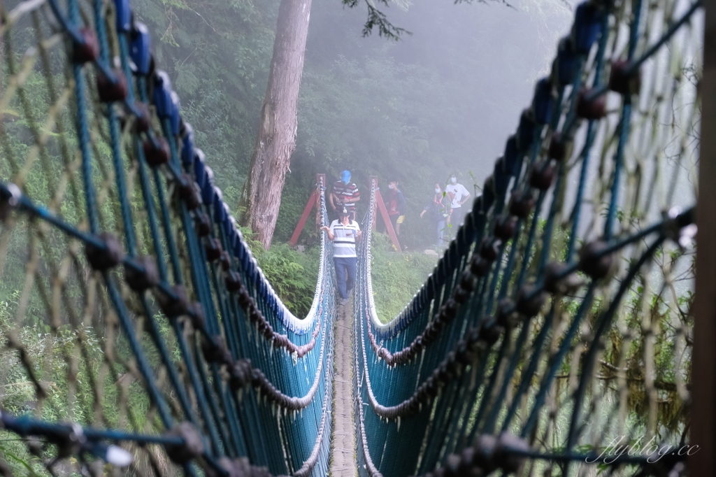 宜蘭大同｜見晴懷古步道．CNN評選全球最美28條小路之一，太平山雲霧繚繞的幽靜之美 @飛天璇的口袋