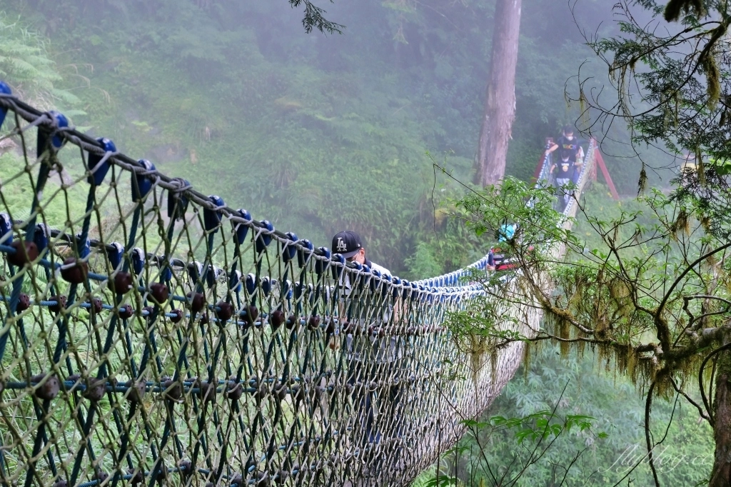 宜蘭大同｜見晴懷古步道．CNN評選全球最美28條小路之一，太平山雲霧繚繞的幽靜之美 @飛天璇的口袋