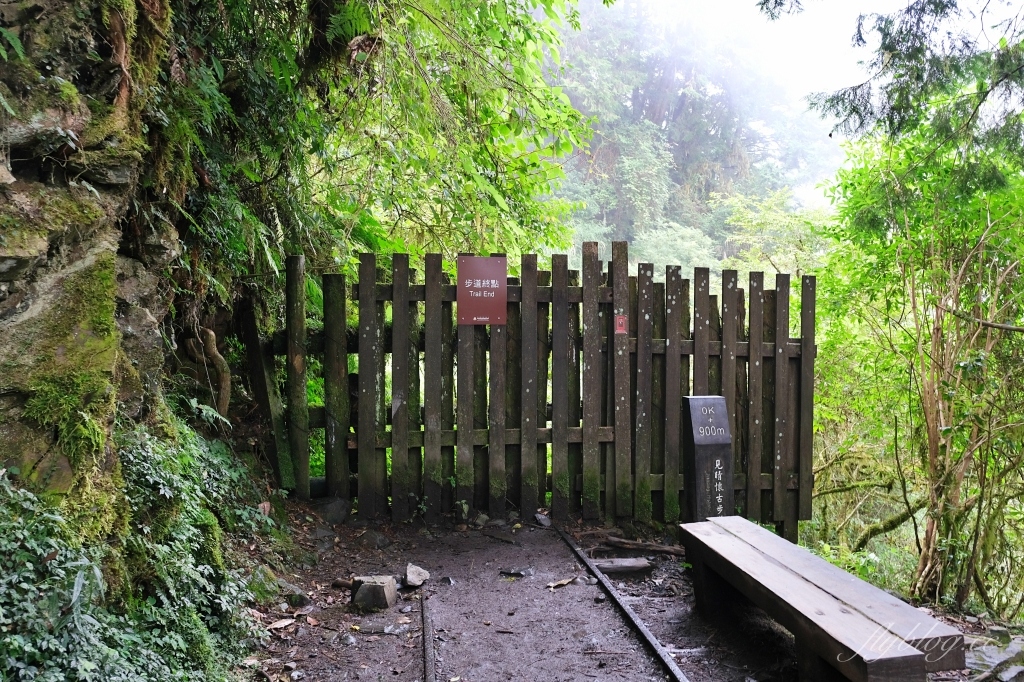 宜蘭大同｜見晴懷古步道．CNN評選全球最美28條小路之一，太平山雲霧繚繞的幽靜之美 @飛天璇的口袋