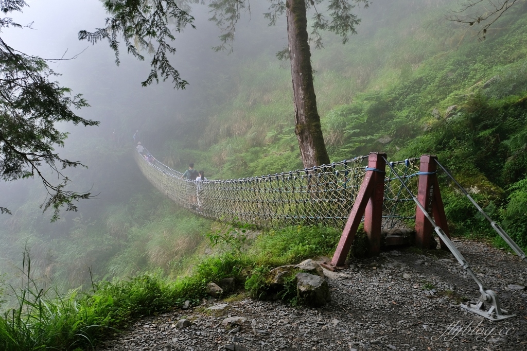 宜蘭大同｜見晴懷古步道．CNN評選全球最美28條小路之一，太平山雲霧繚繞的幽靜之美 @飛天璇的口袋