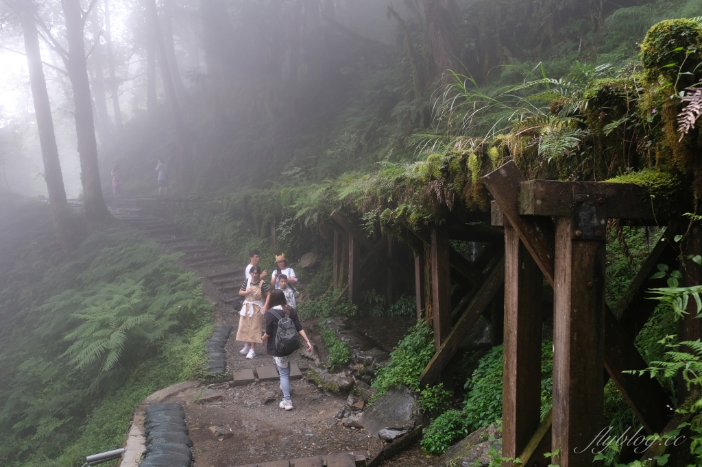 宜蘭大同｜見晴懷古步道．CNN評選全球最美28條小路之一，太平山雲霧繚繞的幽靜之美 @飛天璇的口袋