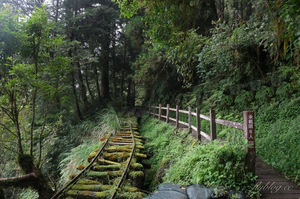 宜蘭大同｜見晴懷古步道．CNN評選全球最美28條小路之一，太平山雲霧繚繞的幽靜之美 @飛天璇的口袋