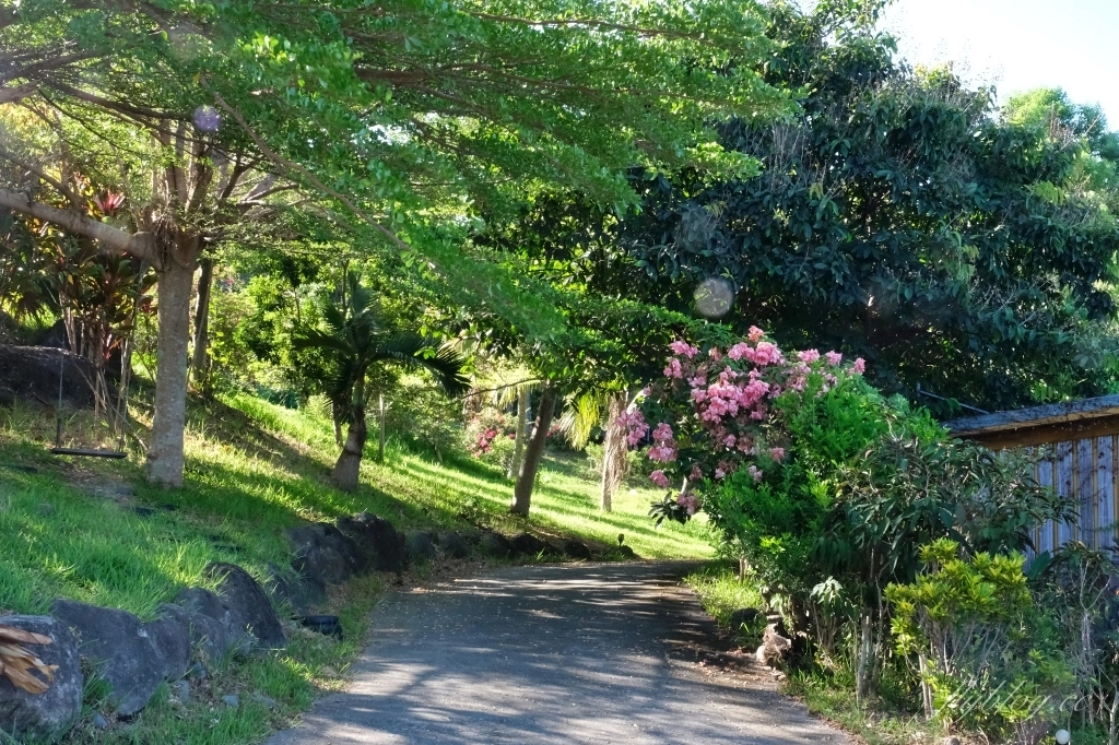 台東都蘭｜都蘭草堂民宿，太平洋無敵海景第一排秘境，台東最網美級的泳池民宿 @飛天璇的口袋