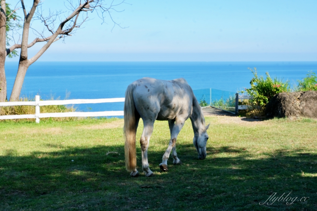 台東都蘭｜都蘭草堂民宿，太平洋無敵海景第一排秘境，台東最網美級的泳池民宿 @飛天璇的口袋