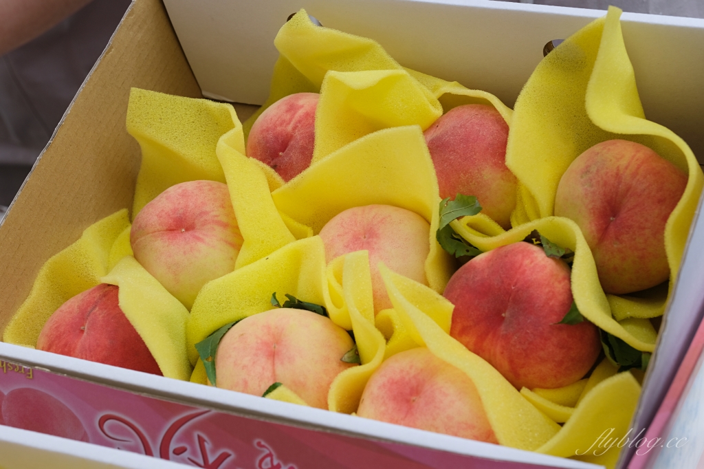 農遊超市 Farmtour Market｜週休何處去？農遊超市全台巡迴市集，660條以上旅遊行程隨意挑選 @飛天璇的口袋