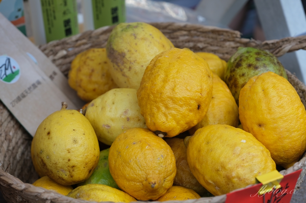 農遊超市 Farmtour Market｜週休何處去？農遊超市全台巡迴市集，660條以上旅遊行程隨意挑選 @飛天璇的口袋