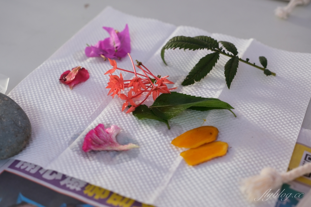 農遊超市 Farmtour Market｜週休何處去？農遊超市全台巡迴市集，660條以上旅遊行程隨意挑選 @飛天璇的口袋