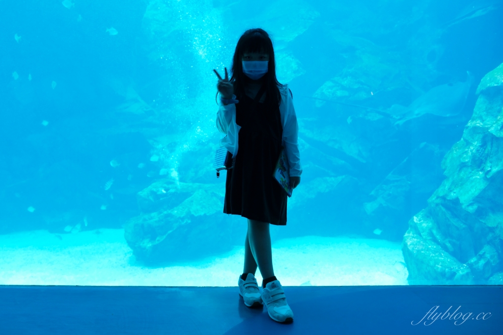 【夜宿Xpark】COZZI Blu 和逸飯店桃園館.夜宿Xpark海生館一泊四食,宿海奇遇星級海洋系眠旅 @飛天璇的口袋 【夜宿Xpark】COZZI Blu 和逸飯店桃園館.夜宿Xpark海生館一泊四食,宿海奇遇星級海洋系眠旅 @飛天璇的口袋