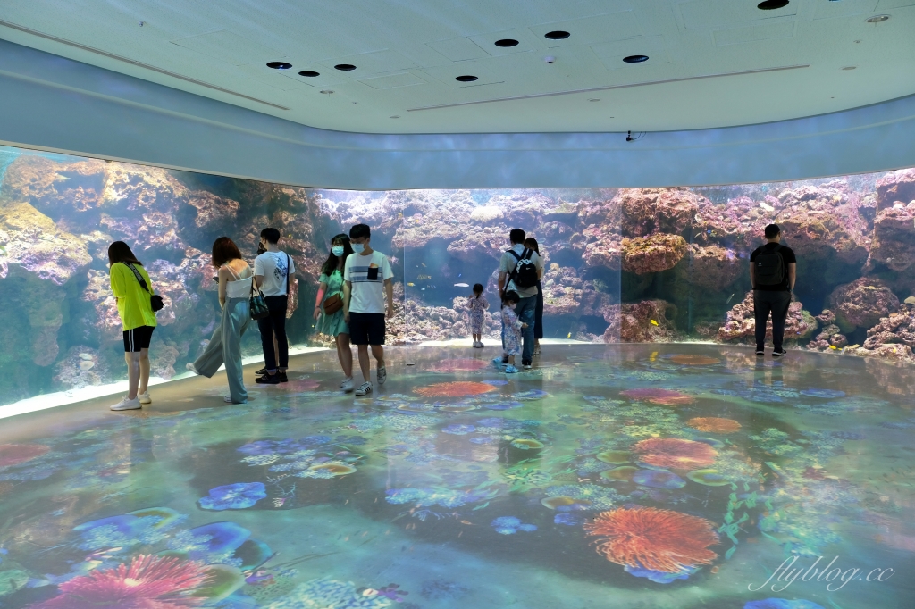 【夜宿Xpark】COZZI Blu 和逸飯店桃園館.夜宿Xpark海生館一泊四食,宿海奇遇星級海洋系眠旅 @飛天璇的口袋 【夜宿Xpark】COZZI Blu 和逸飯店桃園館.夜宿Xpark海生館一泊四食,宿海奇遇星級海洋系眠旅 @飛天璇的口袋