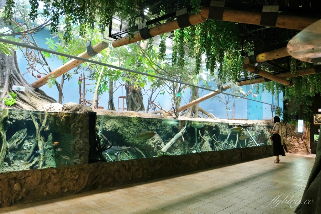 【夜宿Xpark】COZZI Blu 和逸飯店桃園館.夜宿Xpark海生館一泊四食,宿海奇遇星級海洋系眠旅 @飛天璇的口袋 【夜宿Xpark】COZZI Blu 和逸飯店桃園館.夜宿Xpark海生館一泊四食,宿海奇遇星級海洋系眠旅 @飛天璇的口袋