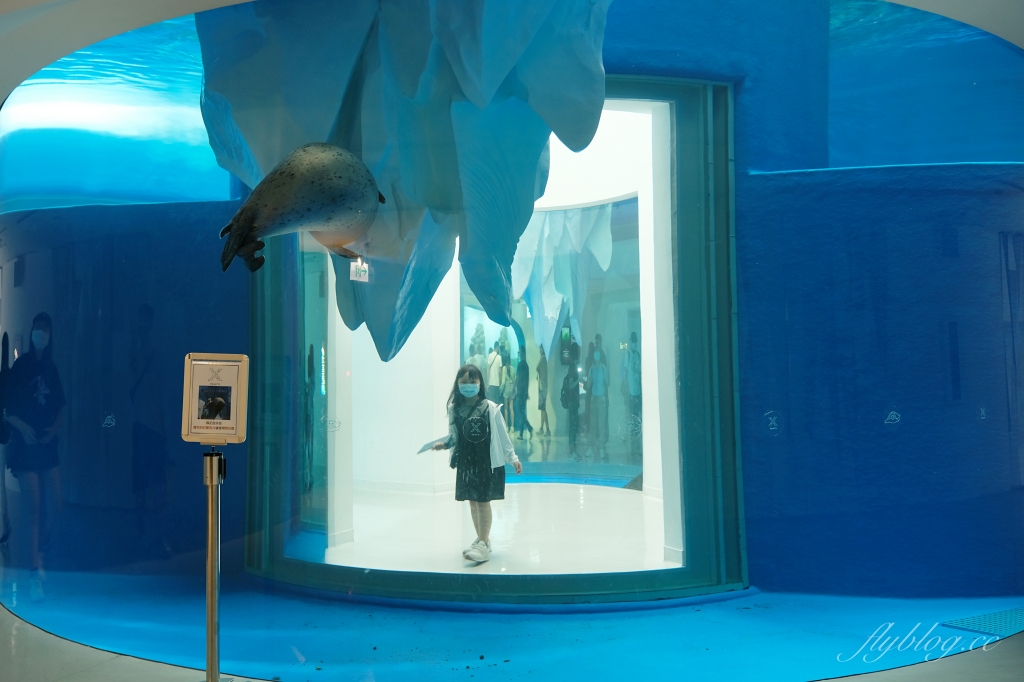 【夜宿Xpark】COZZI Blu 和逸飯店桃園館．夜宿Xpark海生館一泊四食，宿海奇遇星級海洋系眠旅 @飛天璇的口袋