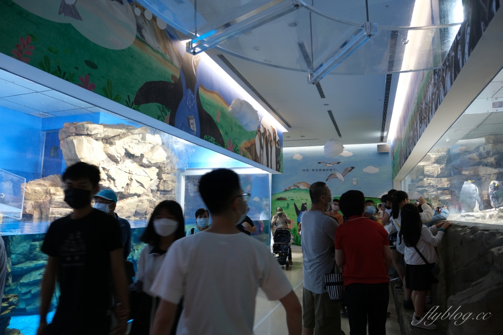 【夜宿Xpark】COZZI Blu 和逸飯店桃園館．夜宿Xpark海生館一泊四食，宿海奇遇星級海洋系眠旅 @飛天璇的口袋