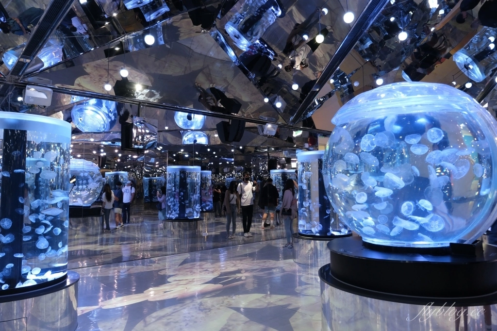 【夜宿Xpark】COZZI Blu 和逸飯店桃園館．夜宿Xpark海生館一泊四食，宿海奇遇星級海洋系眠旅 @飛天璇的口袋