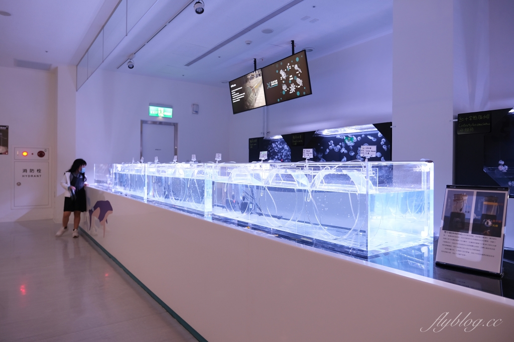 【夜宿Xpark】COZZI Blu 和逸飯店桃園館.夜宿Xpark海生館一泊四食,宿海奇遇星級海洋系眠旅 @飛天璇的口袋 【夜宿Xpark】COZZI Blu 和逸飯店桃園館.夜宿Xpark海生館一泊四食,宿海奇遇星級海洋系眠旅 @飛天璇的口袋