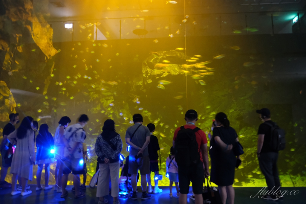 【夜宿Xpark】COZZI Blu 和逸飯店桃園館．夜宿Xpark海生館一泊四食，宿海奇遇星級海洋系眠旅 @飛天璇的口袋