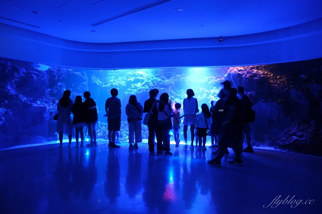 【夜宿Xpark】COZZI Blu 和逸飯店桃園館.夜宿Xpark海生館一泊四食,宿海奇遇星級海洋系眠旅 @飛天璇的口袋 【夜宿Xpark】COZZI Blu 和逸飯店桃園館.夜宿Xpark海生館一泊四食,宿海奇遇星級海洋系眠旅 @飛天璇的口袋