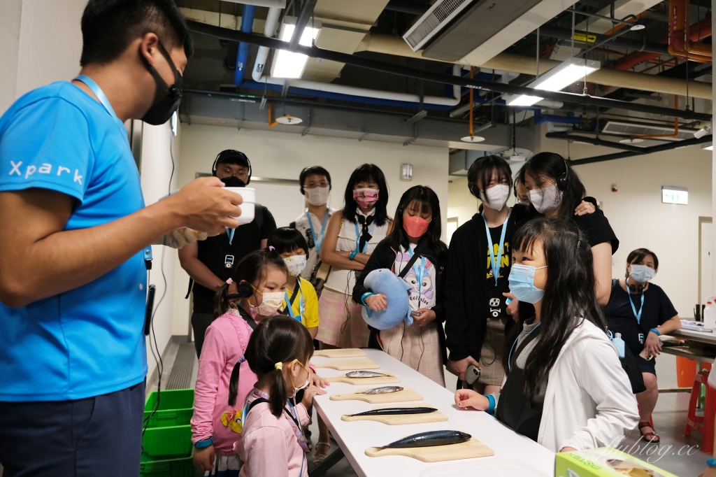 【夜宿Xpark】COZZI Blu 和逸飯店桃園館．夜宿Xpark海生館一泊四食，宿海奇遇星級海洋系眠旅 @飛天璇的口袋