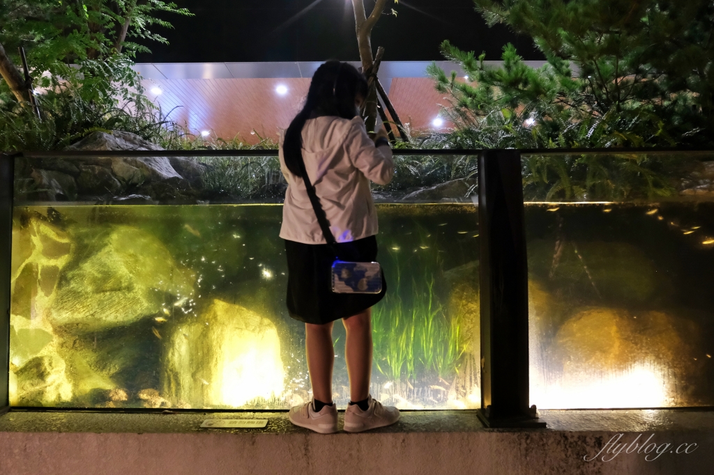 【夜宿Xpark】COZZI Blu 和逸飯店桃園館.夜宿Xpark海生館一泊四食,宿海奇遇星級海洋系眠旅 @飛天璇的口袋 【夜宿Xpark】COZZI Blu 和逸飯店桃園館.夜宿Xpark海生館一泊四食,宿海奇遇星級海洋系眠旅 @飛天璇的口袋