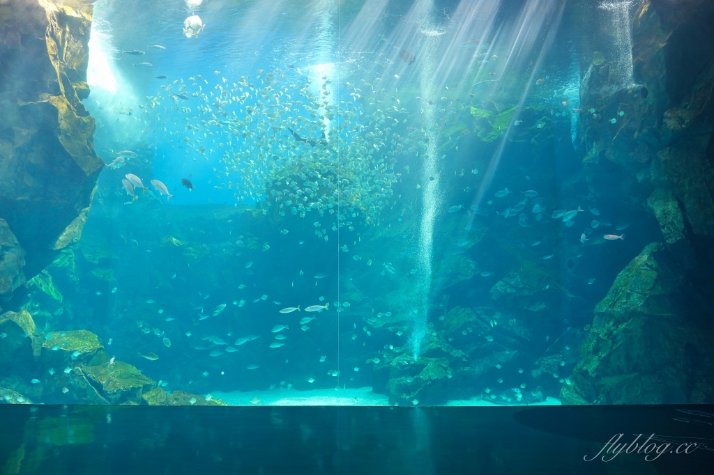 【夜宿Xpark】COZZI Blu 和逸飯店桃園館．夜宿Xpark海生館一泊四食，宿海奇遇星級海洋系眠旅 @飛天璇的口袋