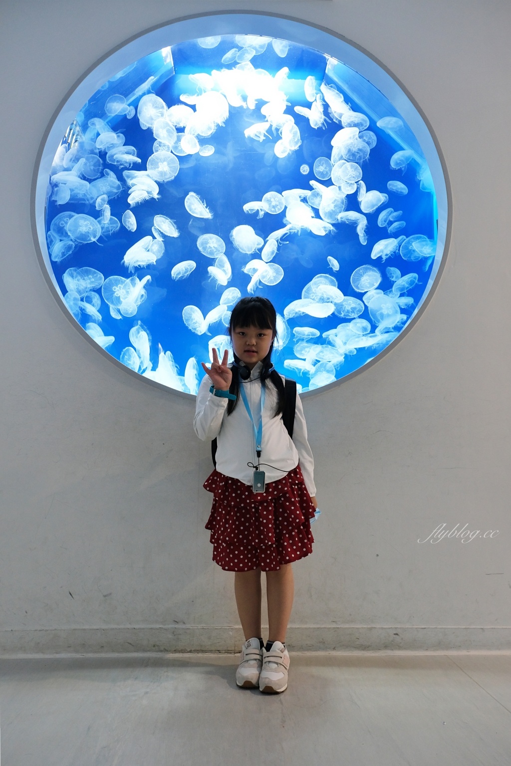 【夜宿Xpark】COZZI Blu 和逸飯店桃園館.夜宿Xpark海生館一泊四食,宿海奇遇星級海洋系眠旅 @飛天璇的口袋 【夜宿Xpark】COZZI Blu 和逸飯店桃園館.夜宿Xpark海生館一泊四食,宿海奇遇星級海洋系眠旅 @飛天璇的口袋