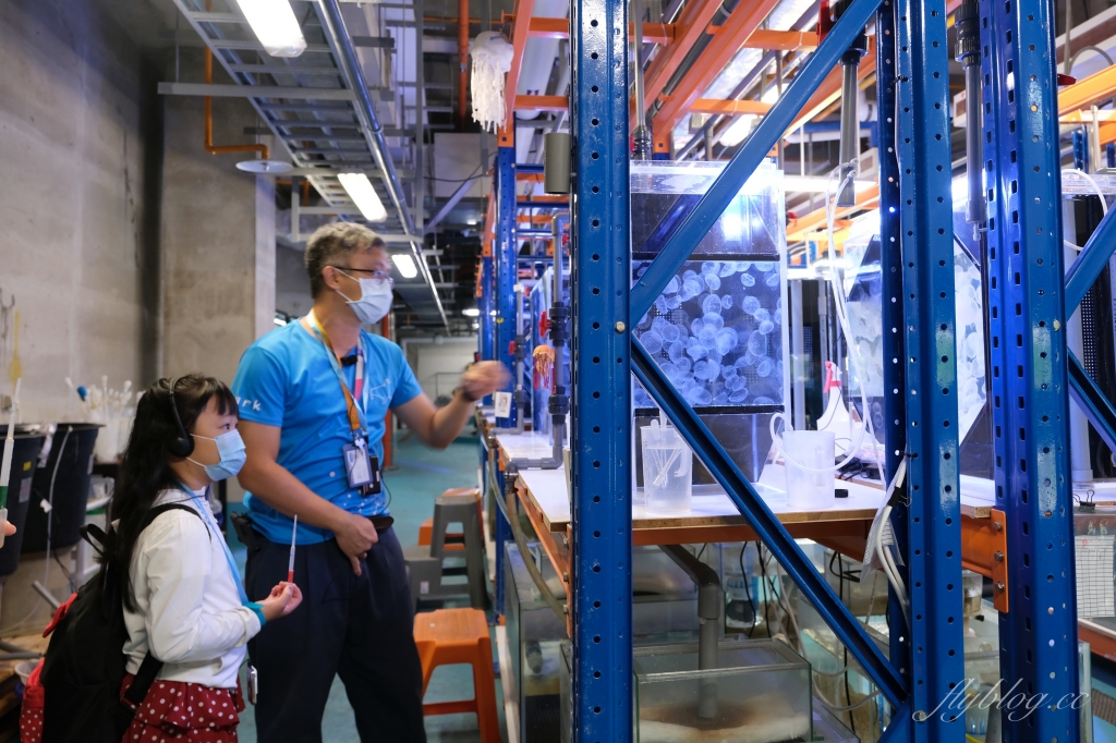 【夜宿Xpark】COZZI Blu 和逸飯店桃園館．夜宿Xpark海生館一泊四食，宿海奇遇星級海洋系眠旅 @飛天璇的口袋