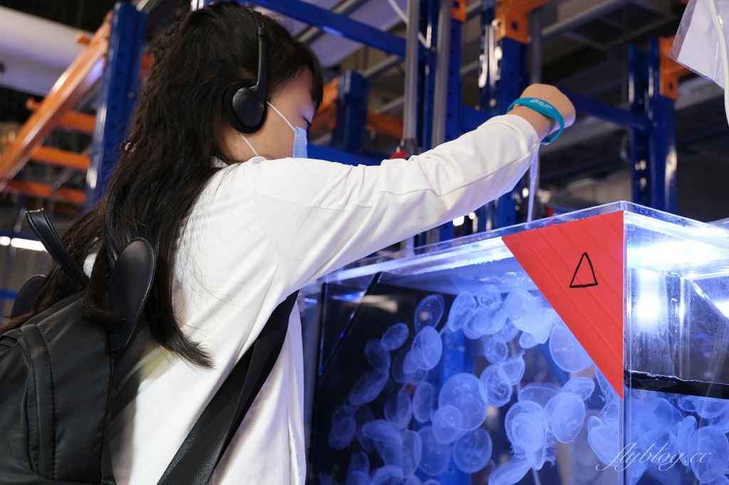 【夜宿Xpark】COZZI Blu 和逸飯店桃園館.夜宿Xpark海生館一泊四食,宿海奇遇星級海洋系眠旅 @飛天璇的口袋 【夜宿Xpark】COZZI Blu 和逸飯店桃園館.夜宿Xpark海生館一泊四食,宿海奇遇星級海洋系眠旅 @飛天璇的口袋