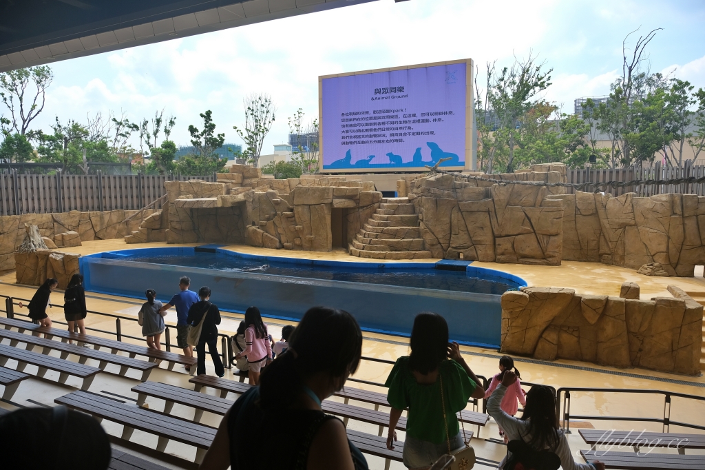 【夜宿Xpark】COZZI Blu 和逸飯店桃園館．夜宿Xpark海生館一泊四食，宿海奇遇星級海洋系眠旅 @飛天璇的口袋